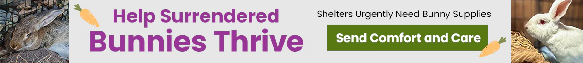 Shop for Good, Change Lives